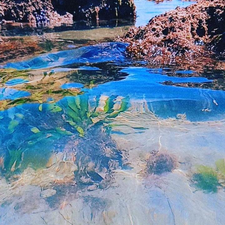 הוסטל Icapuí Aloha מראה חיצוני תמונה